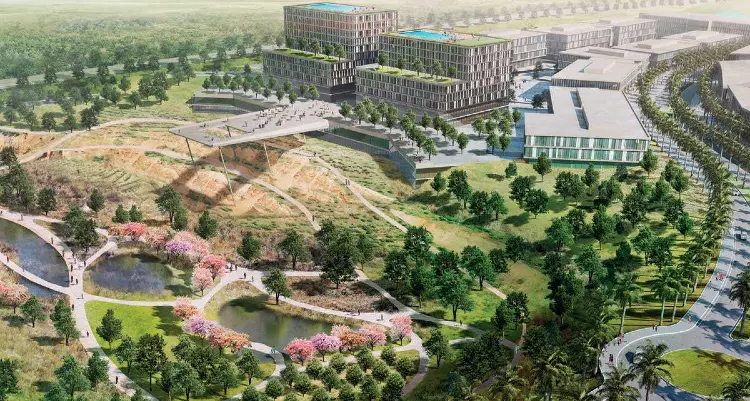 بالم هيلز نيو كايرو