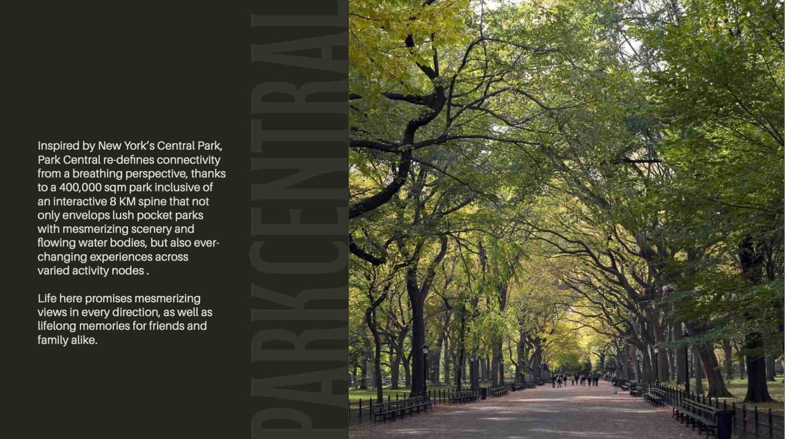 park central 03 2048x1147 1 Park Central