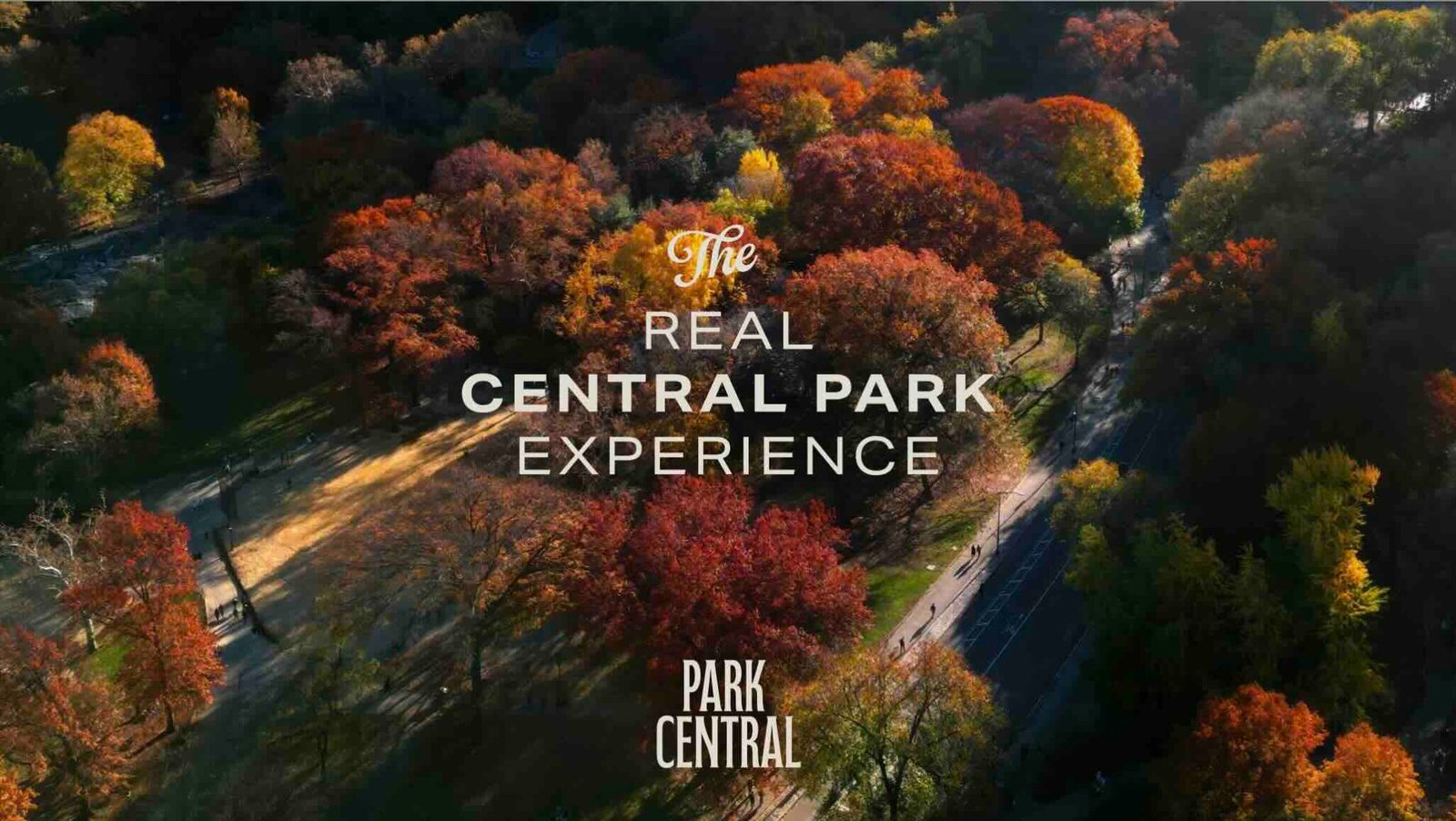 park central hassan allam 2048x1155 1 Park Central