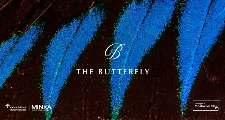 The Butterfly Compound 