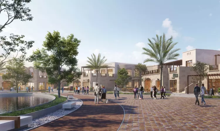 Compound 205 Sheikh Zayed