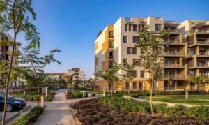 أكبر المطورين العقاريين في الشيخ زايد 2026 4 12467dgmrw 1 أكبر المطورين العقاريين في الشيخ زايد