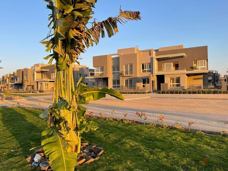 80136057 800x600 1 Kaya Sheikh Zayed Compound