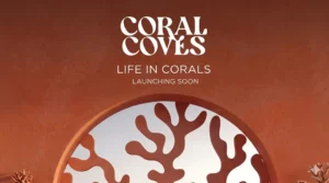 Coral Coves Soma Bay Resort | Prices, Location - Payment Plans 2026