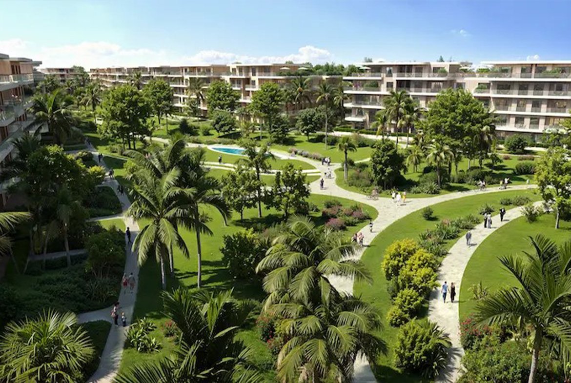 Elm Tree October Compound by Elm Developments - 2026 4 Elm Tree October Compound